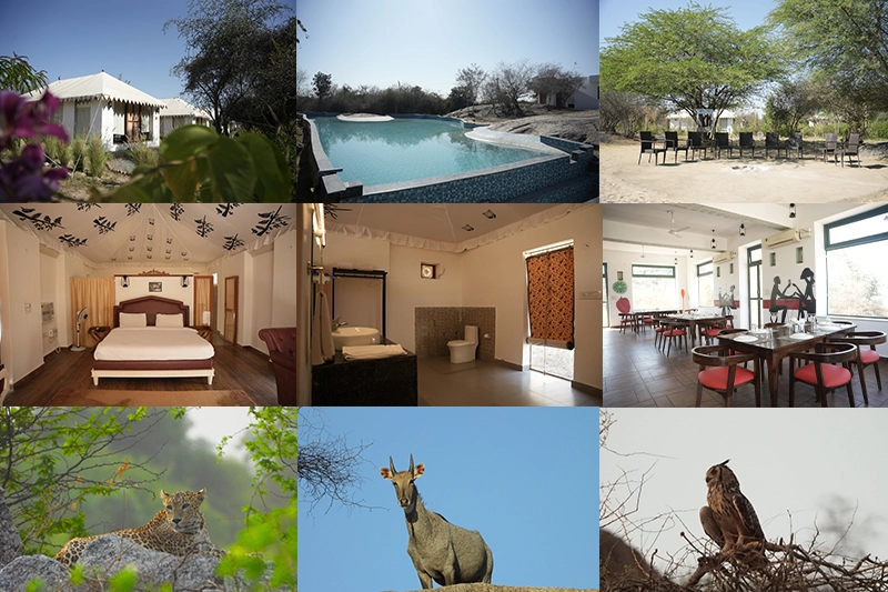 Why Choose Chandraprabha Resort